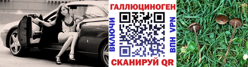 Псилоцибиновые грибы GOLDEN TEACHER  сайты даркнета наркотические препараты  Асино  ОМГ ОМГ сайт 